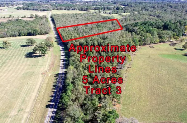 Pittsburg, TX 75686,5 Acres Tract 3 FM 2455