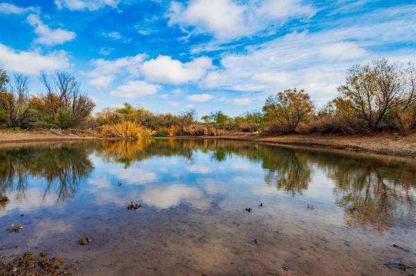 Colorado City, TX 79512,3108 County Road 125