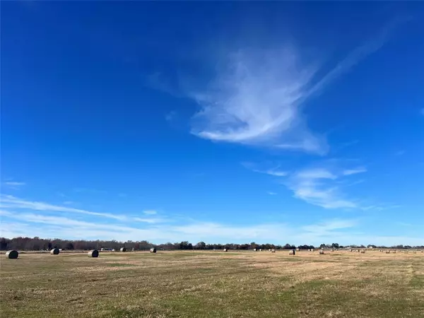 Lot 2 Vz County Road 4305, Ben Wheeler, TX 75754