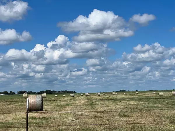 Ben Wheeler, TX 75754,Lot 2 Vz County Road 4305