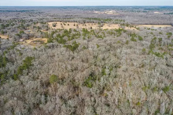 Ben Wheeler, TX 75754,TBD County Road 4917