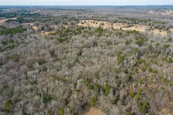 Ben Wheeler, TX 75754,TBD County Road 4917