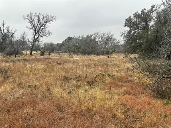 Brownwood, TX 76801,TBD lot 22 Oak Ridge Loop