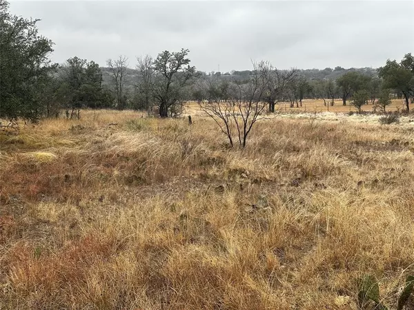 Brownwood, TX 76801,TBD lot 22 Oak Ridge Loop