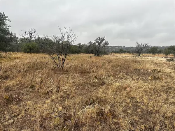 Brownwood, TX 76801,TBD lot 22 Oak Ridge Loop