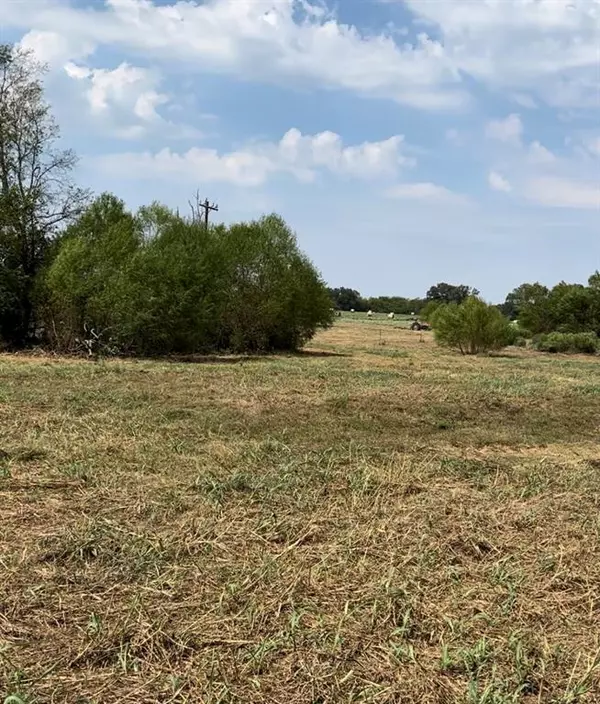 Emory, TX 75440,Lot 6 County Road 3374