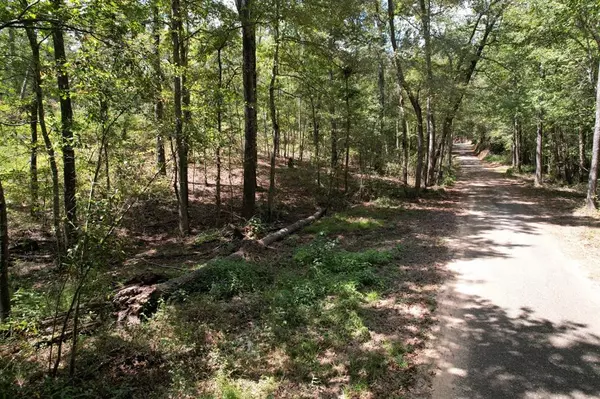 Winnsboro, TX 75494,29.385 Acres SE County Road 3470