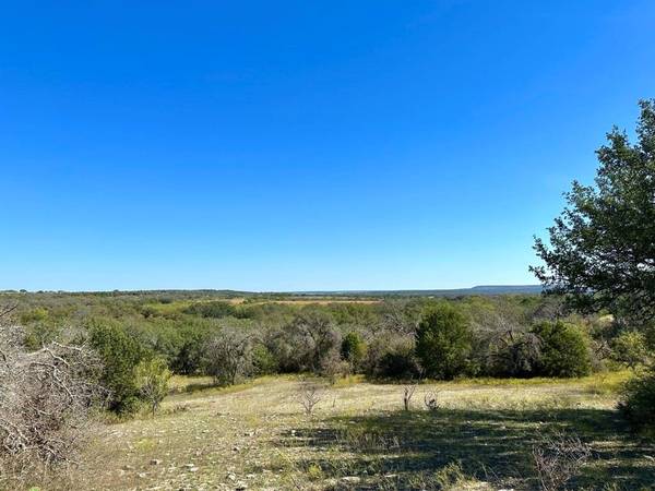 17900 S Tx-16, Comanche, TX 76442