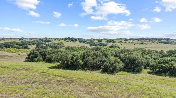 Dublin, TX 76446,TBD Comanche Cr 343 #97