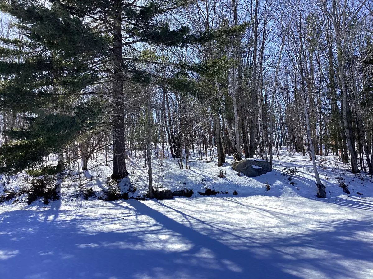 Georgian Bay, ON P0C 1A0,30 Hawkins Point RD