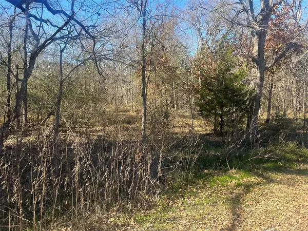 Trinidad, TX 75163,Lot 159 Parkside Drive