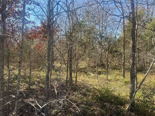 Trinidad, TX 75163,Lot 159 Parkside Drive