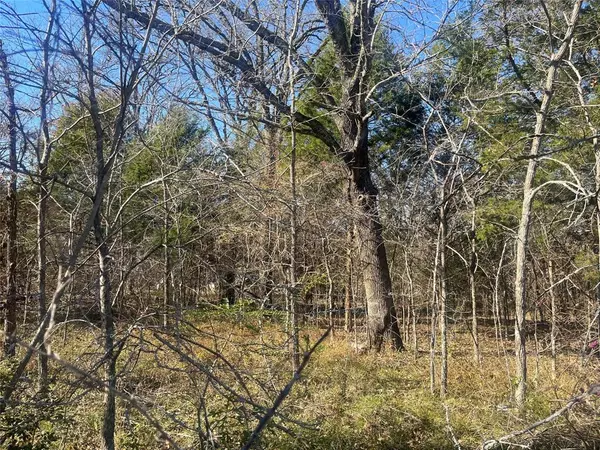 Trinidad, TX 75163,Lot 159 Parkside Drive