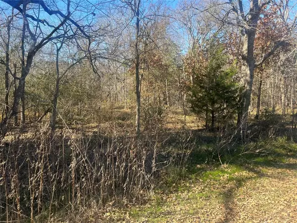 Trinidad, TX 75163,Lot 158 Parkside Drive