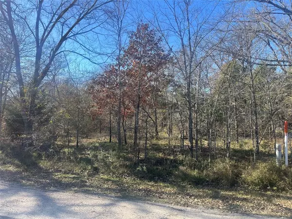 Trinidad, TX 75163,Lot 158 Parkside Drive