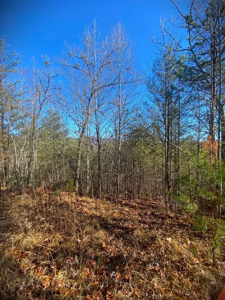 Murphy, NC 28906,Lot 12 Hidden Lane