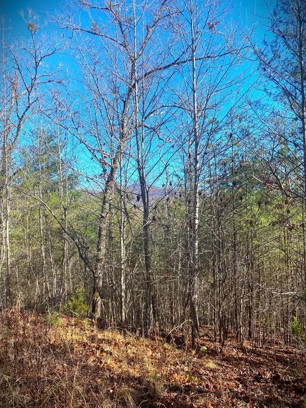 Murphy, NC 28906,Lot 12 Hidden Lane