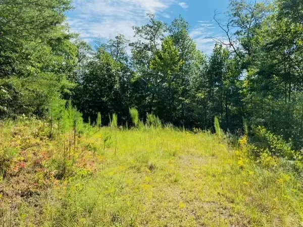 Murphy, NC 28906,Lot 12 Hidden Lane