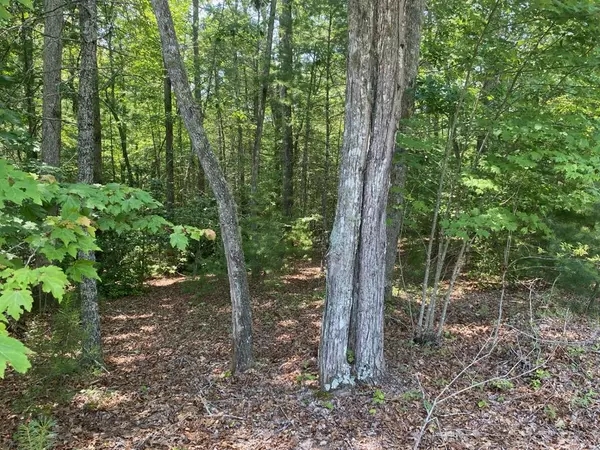 Lot 34 Point Overlook Trail, Murphy, NC 28906