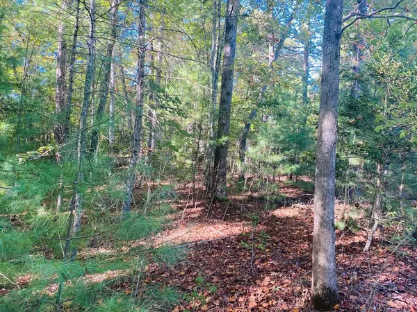 Murphy, NC 28906,Lot 34 Point Overlook Trail