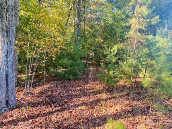 Murphy, NC 28906,Lot 34 Point Overlook Trail