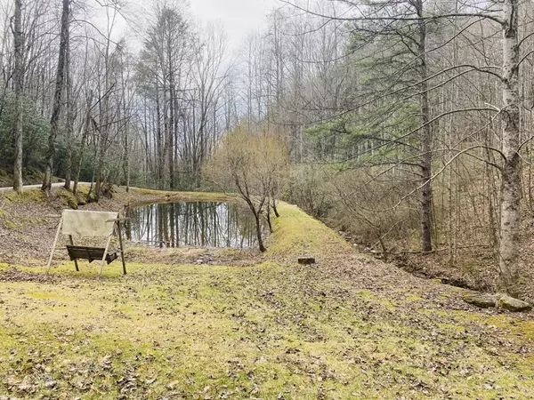 Andrews, NC 28901,Lot 86 Granny Squirrel Drive