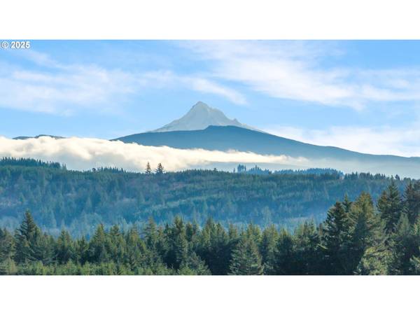 Camas, WA 98607,NE 43RD CIR #LOT 3