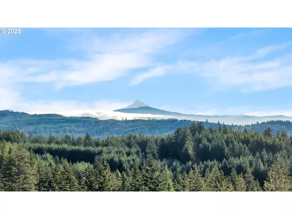 Camas, WA 98607,NE 43RD CIR #LOT 3