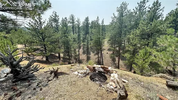 Florissant, CO 80816,255 Forest Glen TRL