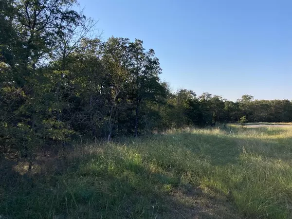 Bowie, TX 76230,Lot 670 Oak Cove Ct