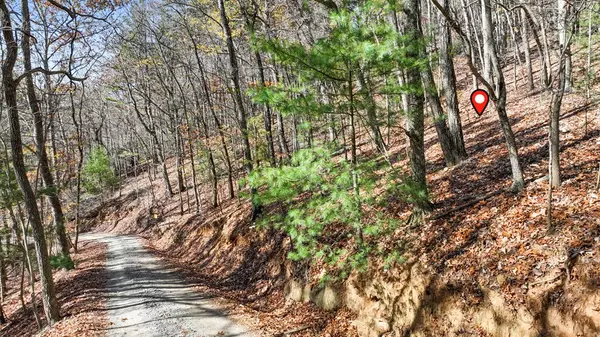 Morganton, GA 30560,LOT 56 Heards Ridge Road