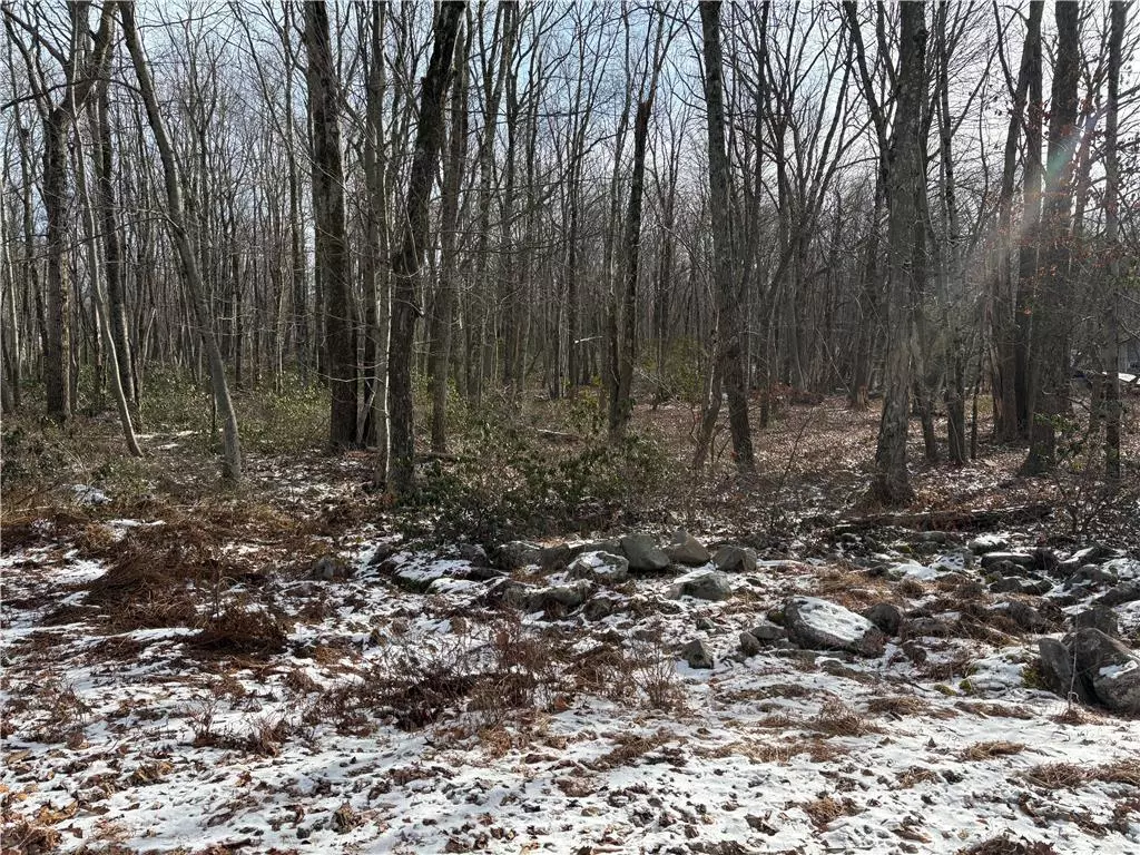 Penn Forest Township, PA 18229,Lot B11 W Clarkes Lane