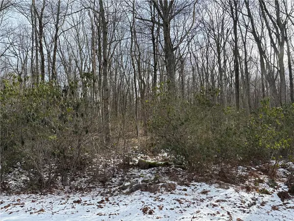 Lot B10 W Clarkes Lane, Penn Forest Township, PA 18229