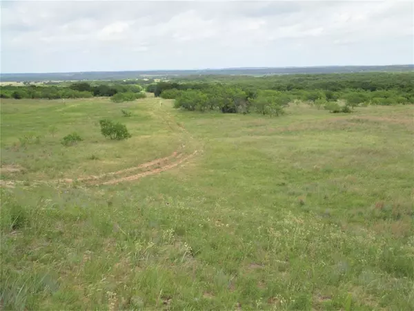 Perrin, TX 76486,105 ac Two Bush