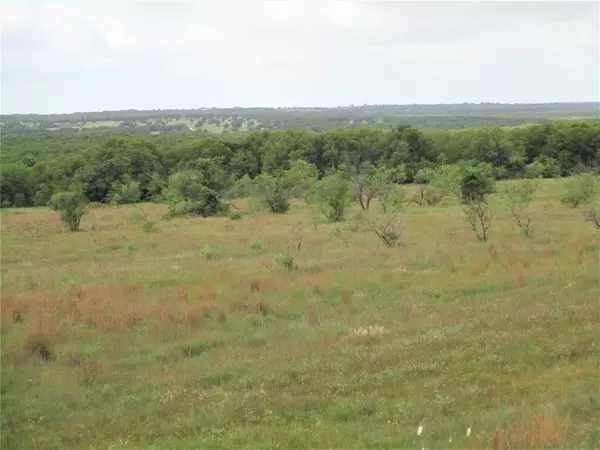 Perrin, TX 76486,105 ac Two Bush