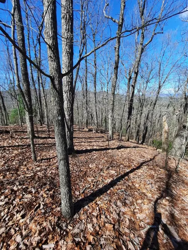 Murphy, NC 28906,Lot # 7 Quail Run Ridge