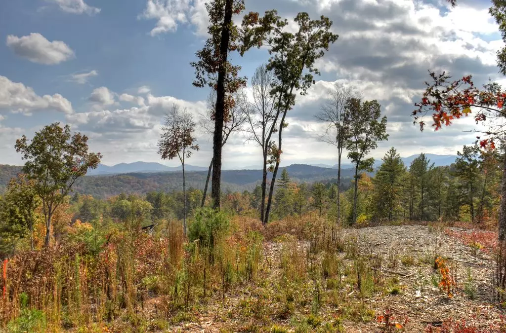 Mineral Bluff, GA 30559,Lot 22 Mountain Laurel Ridge