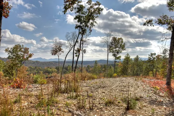 Mineral Bluff, GA 30559,Lot 22 Mountain Laurel Ridge