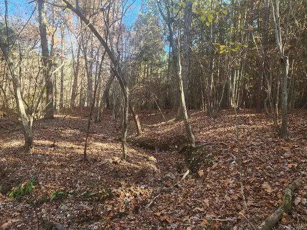 Gladys, VA 24554,0 Hughes RD