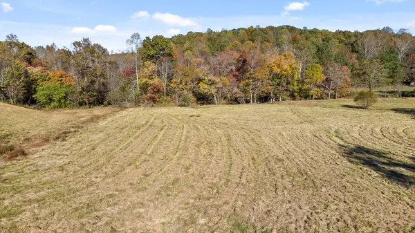 Talking Rock, GA 30175,Lot 14 Bravo Way