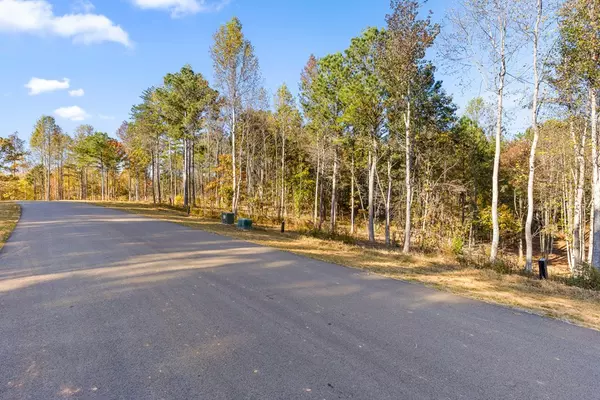 Talking Rock, GA 30175,Lot 18 Bravo Way