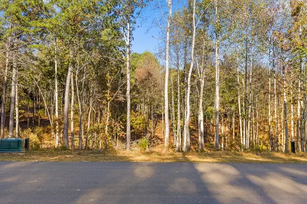 Talking Rock, GA 30175,Lot 18 Bravo Way