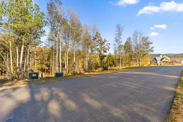 Talking Rock, GA 30175,Lot 18 Bravo Way