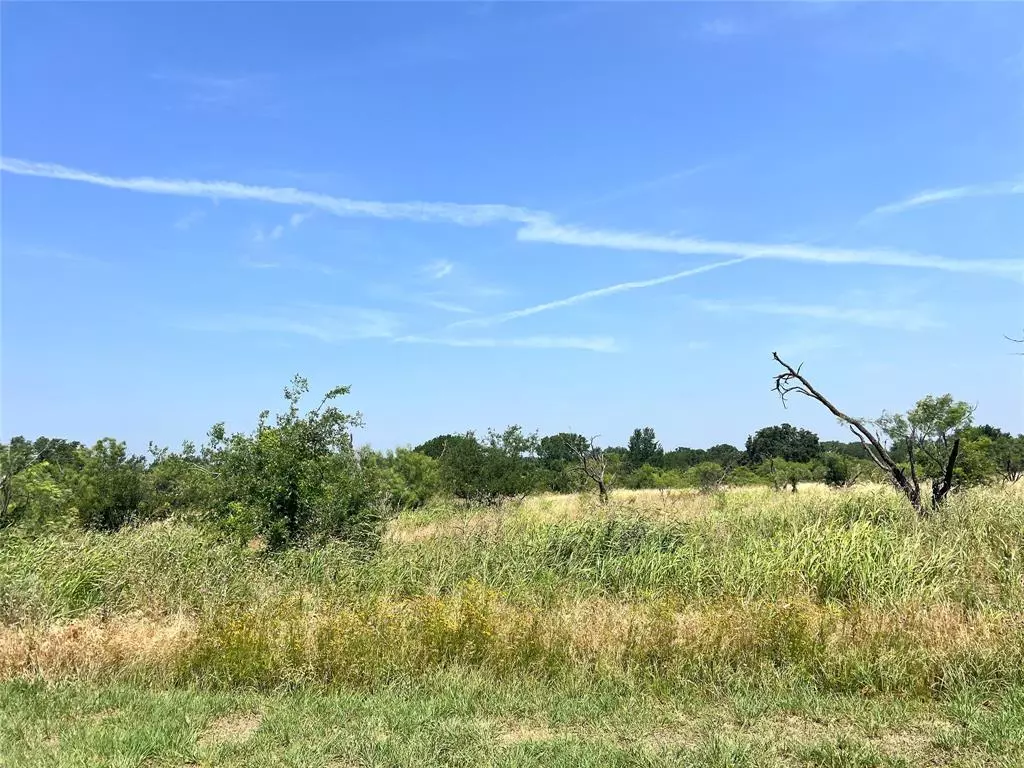 Brownwood, TX 76801,TBD Lot 65 Falcon Drive