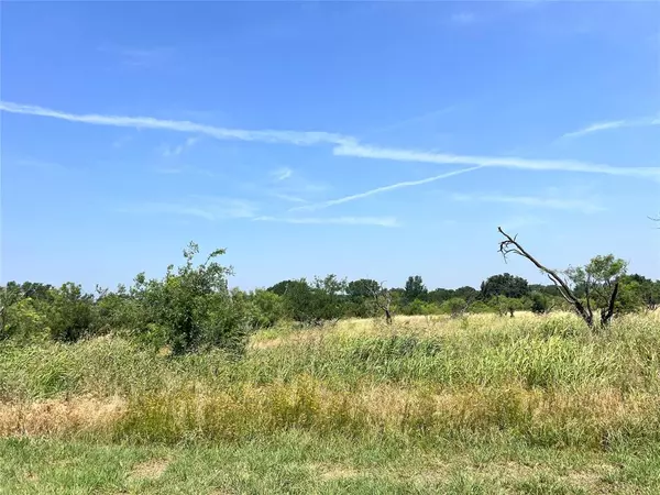 TBD Lot 65 Falcon Drive, Brownwood, TX 76801