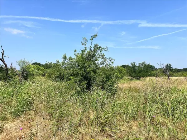 Brownwood, TX 76801,TBD Lot 65 Falcon Drive