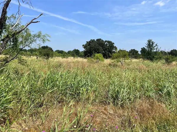 Brownwood, TX 76801,TBD Lot 65 Falcon Drive