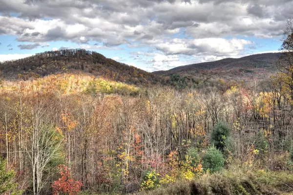 Cherry Log, GA 30522,258 Forest Ridge Drive