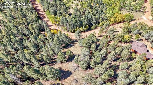 1058 Bennett DR, Cripple Creek, CO 80813