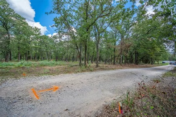 Paradise, TX 76073,10.01 Acres Private Road 3582